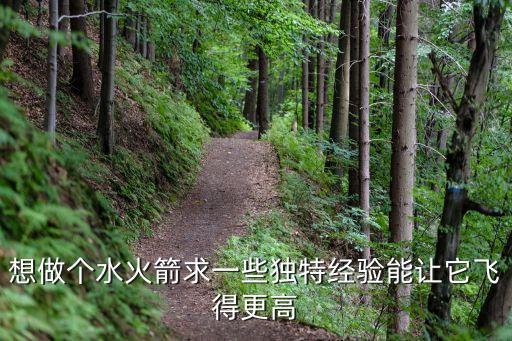想做個(gè)水火箭求一些獨(dú)特經(jīng)驗(yàn)?zāi)茏屗w得更高