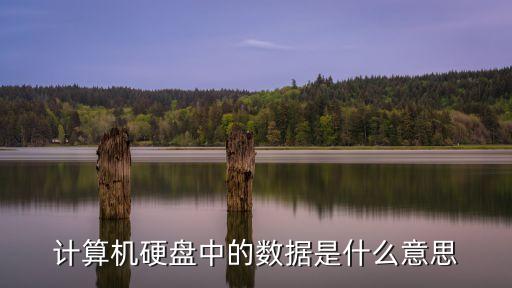 數(shù)據(jù)是什么，計(jì)算機(jī)硬盤中的數(shù)據(jù)是什么意思