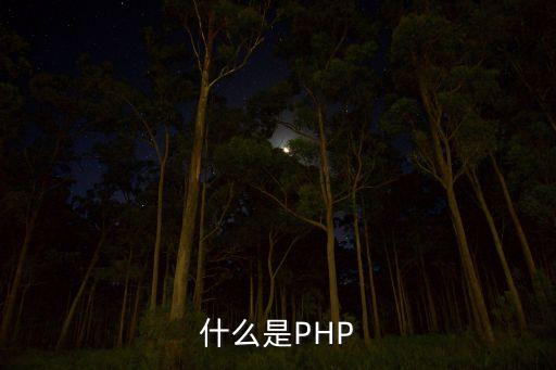 什么是PHP