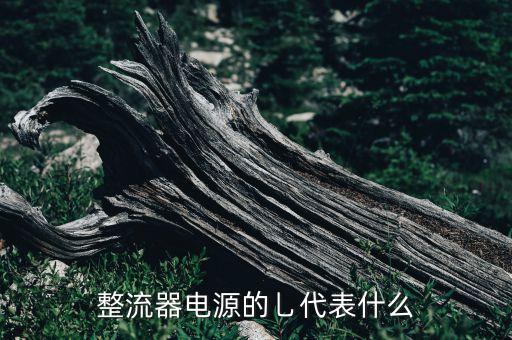 整流器電源的乚代表什么