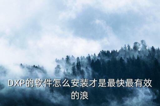 DXP的軟件怎么安裝才是最快最有效的浪