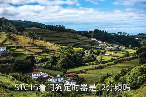 STC15看門狗定時器是12分頻嗎
