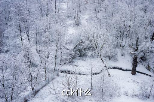 cck什么