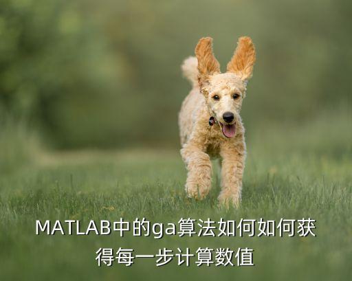 ga算法，人工智能GA算法