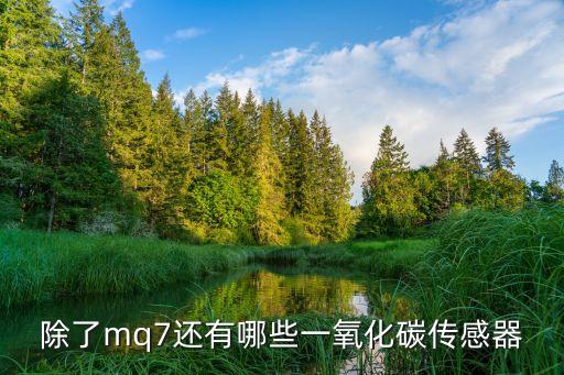 mq7傳感器，iphone 7 有哪些傳感器