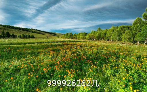 999926262幾