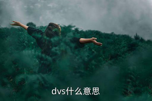 dvs什么意思
