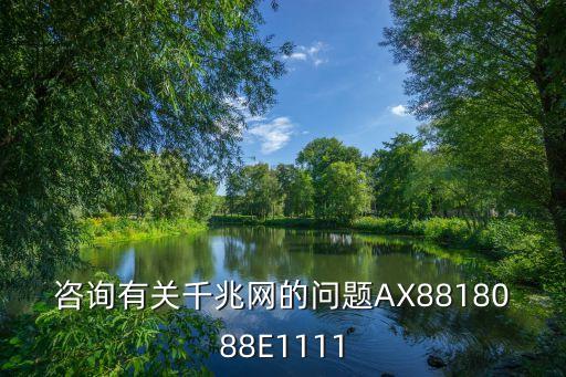 咨詢有關(guān)千兆網(wǎng)的問題AX8818088E1111