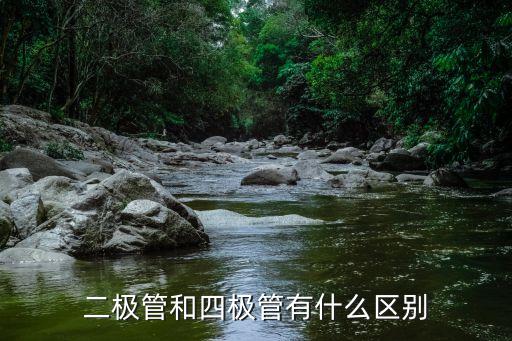 二極管和四極管有什么區(qū)別