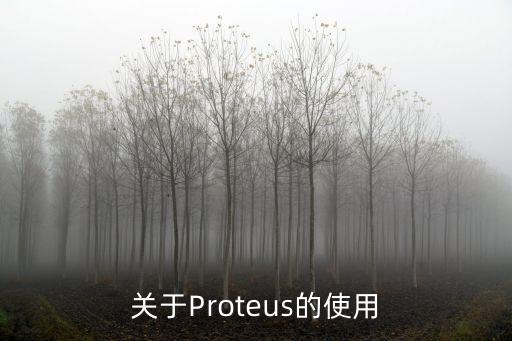 proteus，關(guān)于Proteus的使用