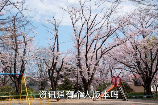 資訊通有個人版本嗎