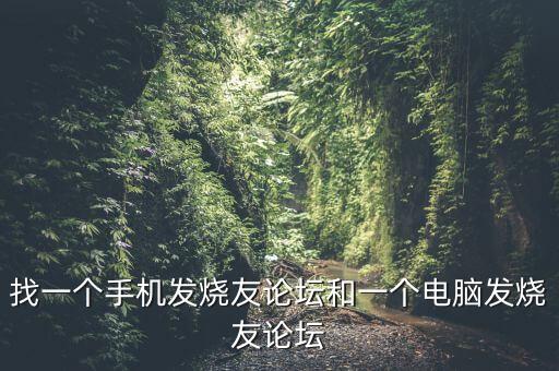 找一個手機發(fā)燒友論壇和一個電腦發(fā)燒友論壇