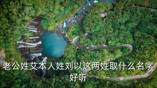 劉小艾，幫忙取個女寶寶的名字父姓劉