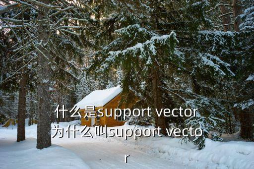支持向量機，支持向量機
