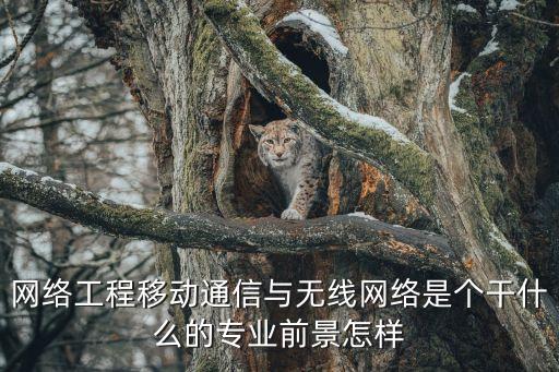 無線網(wǎng)絡(luò)工程，無線網(wǎng)絡(luò)工程是屬于通訊工程還是網(wǎng)絡(luò)工程