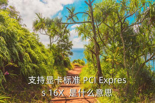 支持顯卡標(biāo)準(zhǔn) PCI Express 16X  是什么意思