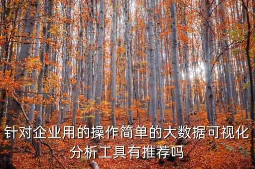 大數(shù)據(jù)可視化分析，用大數(shù)據(jù)可視化分析工具可以做出多維度分析報(bào)表嗎