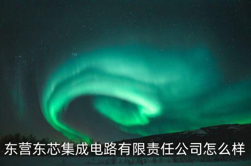 東營(yíng)東芯集成電路有限責(zé)任公司怎么樣
