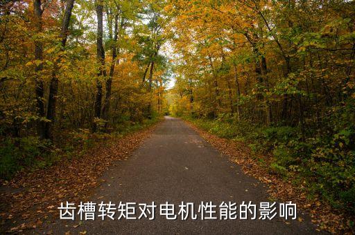 齒槽轉(zhuǎn)矩對(duì)電機(jī)性能的影響