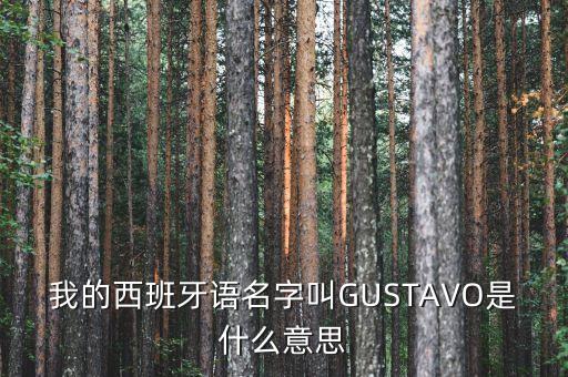 我的西班牙語名字叫GUSTAVO是什么意思