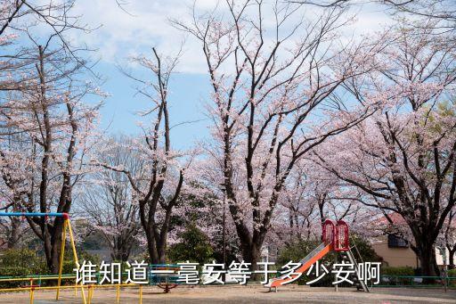 誰知道一毫安等于多少安啊