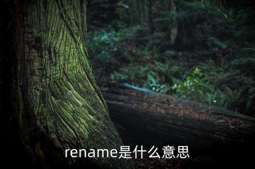 rename是什么意思