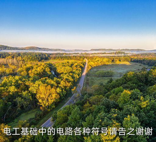 電工基礎(chǔ)中的電路各種符號(hào)請(qǐng)告之謝謝