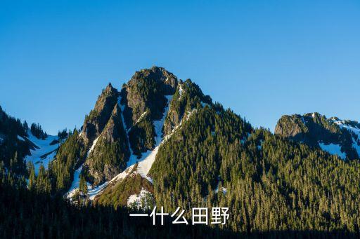 一什么田野