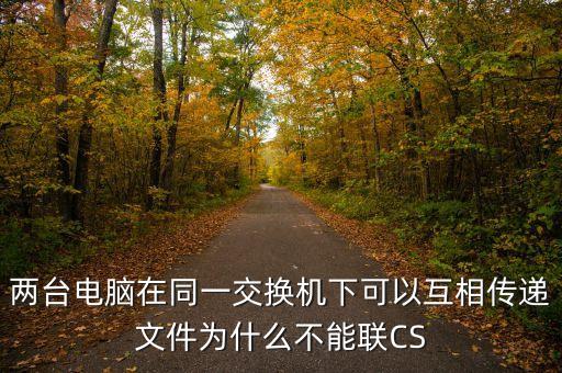 ipx117，兩臺(tái)電腦在同一交換機(jī)下可以互相傳遞文件為什么不能聯(lián)CS