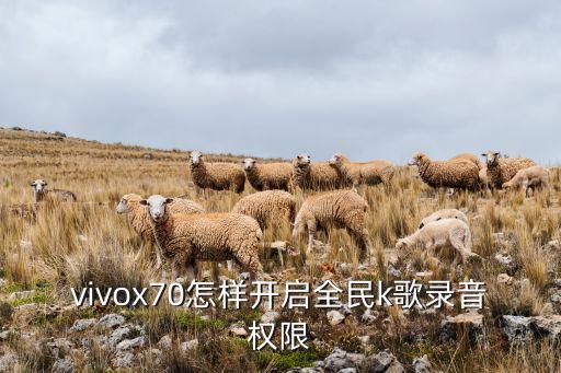 vivox70怎樣開啟全民k歌錄音權(quán)限