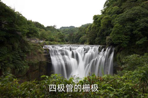 四極管的柵極