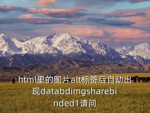 html里的圖片alt標(biāo)簽后自動(dòng)出現(xiàn)databdimgsharebinded1請(qǐng)問