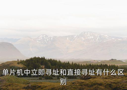 單片機中立即尋址和直接尋址有什么區(qū)別