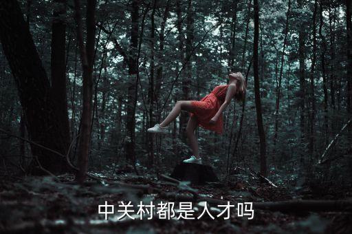 中關(guān)村都是人才嗎