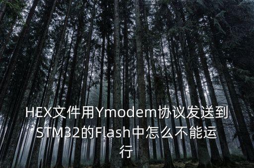 HEX文件用Ymodem協(xié)議發(fā)送到STM32的Flash中怎么不能運行