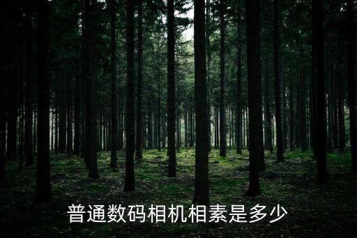 普通數(shù)碼相機相素是多少