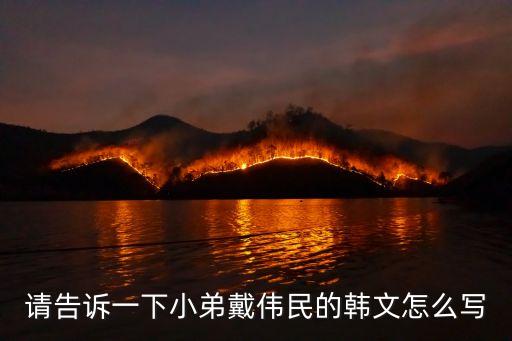 請(qǐng)告訴一下小弟戴偉民的韓文怎么寫