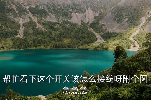幫忙看下這個開關(guān)該怎么接線呀附個圖急急急