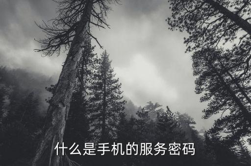 什么是手機(jī)的服務(wù)密碼