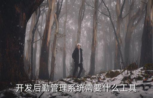 后勤管理系統(tǒng)，開發(fā)后勤管理系統(tǒng)需要什么工具