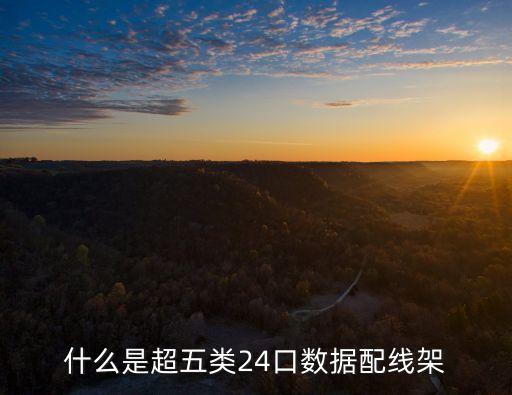 什么是超五類24口數(shù)據(jù)配線架