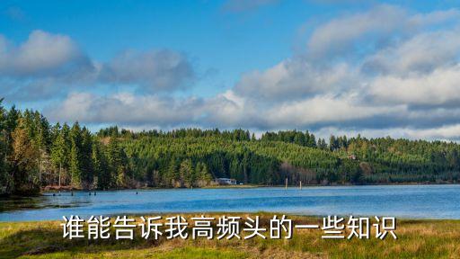 誰(shuí)能告訴我高頻頭的一些知識(shí)