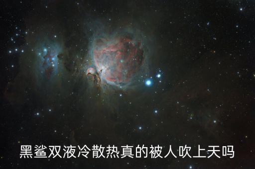 黑鯊散熱器，黑鯊雙液冷散熱真的被人吹上天嗎