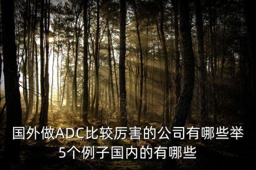 核芯互聯(lián)，國外做ADC比較厲害的公司有哪些舉5個例子國內(nèi)的有哪些