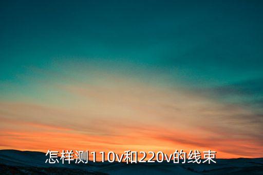 怎樣測110v和220v的線束