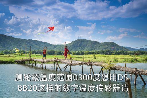 測(cè)輪轂溫度范圍0300度想用DS18B20這樣的數(shù)字溫度傳感器請(qǐng)
