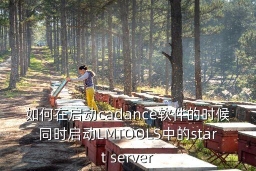 如何在啟動cadance軟件的時候同時啟動LMTOOLS中的start server