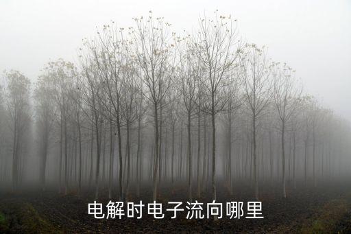 電解時電子流向哪里