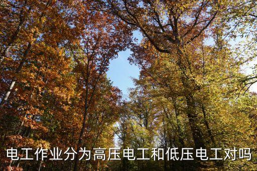 電工作業(yè)分為高壓電工和低壓電工對(duì)嗎