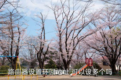 路由器設置環(huán)回地址 可以設多個嗎
